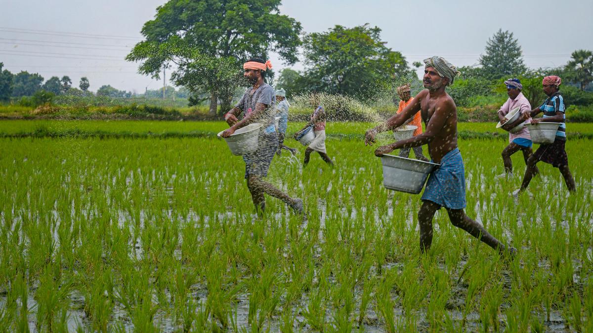 Fertiliser output steady despite West Asia crisis; government secures 37 lakh ton urea imports for kharif